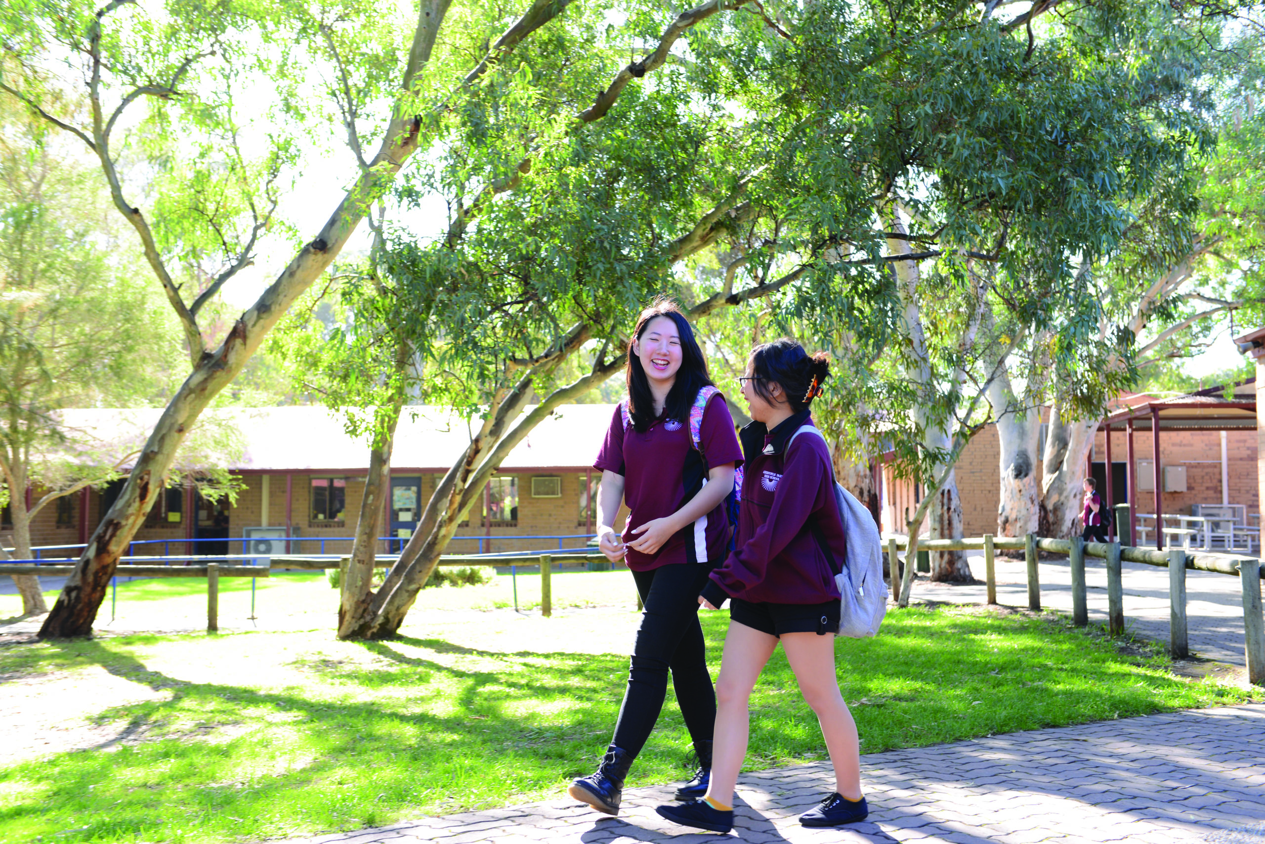 Aberfoyle Park High School - foto 4